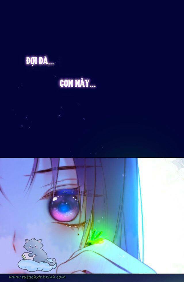 Cạm Bẫy Của Hồ Ly: Chapter 28