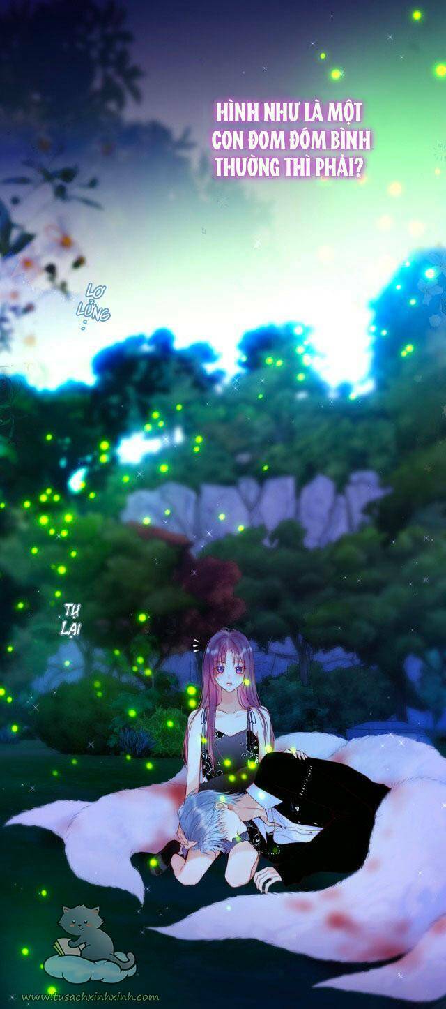 Cạm Bẫy Của Hồ Ly: Chapter 28