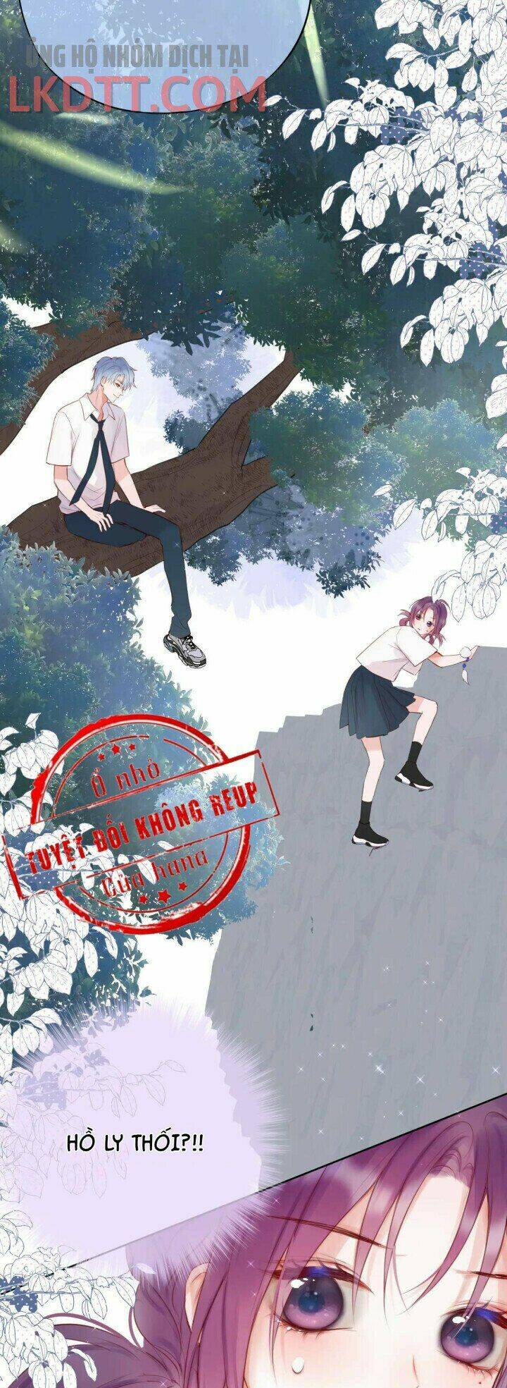 Cạm Bẫy Của Hồ Ly: Chapter 3