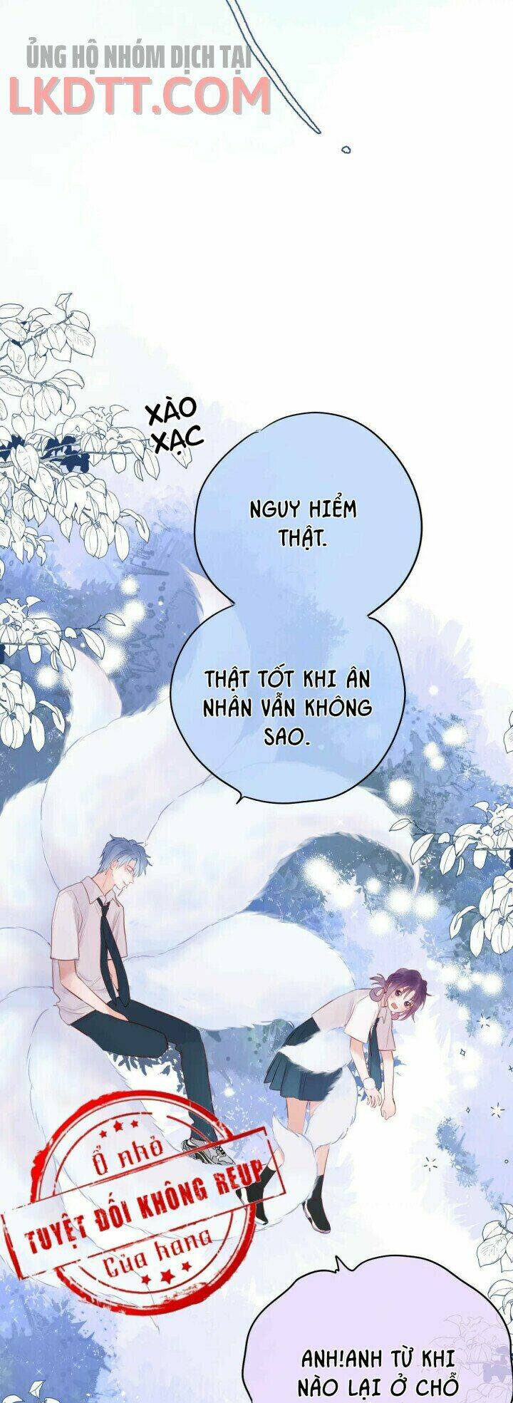 Cạm Bẫy Của Hồ Ly: Chapter 3