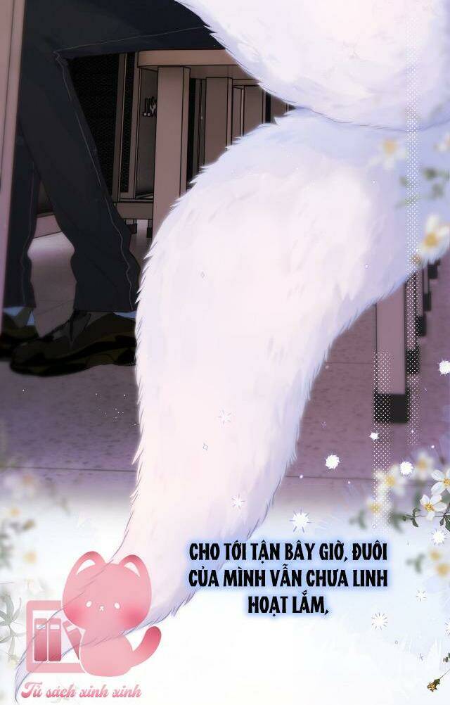 Cạm Bẫy Của Hồ Ly: Chapter 35