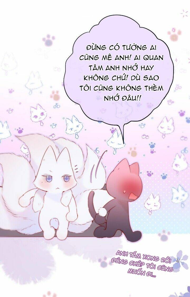 Cạm Bẫy Của Hồ Ly: Chapter 36