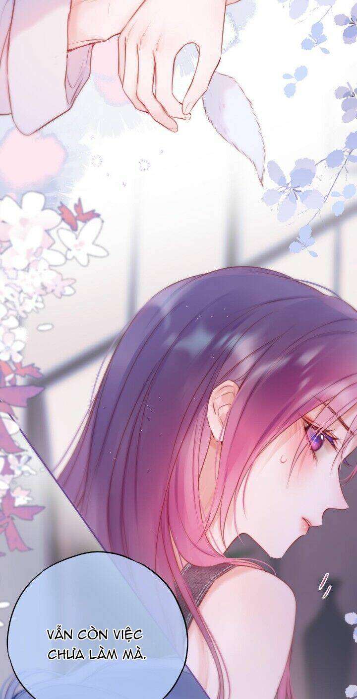 Cạm Bẫy Của Hồ Ly: Chapter 36