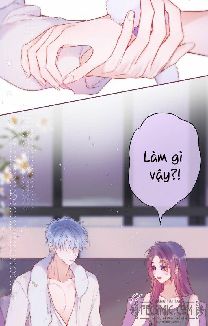 Cạm Bẫy Của Hồ Ly: Chapter 36
