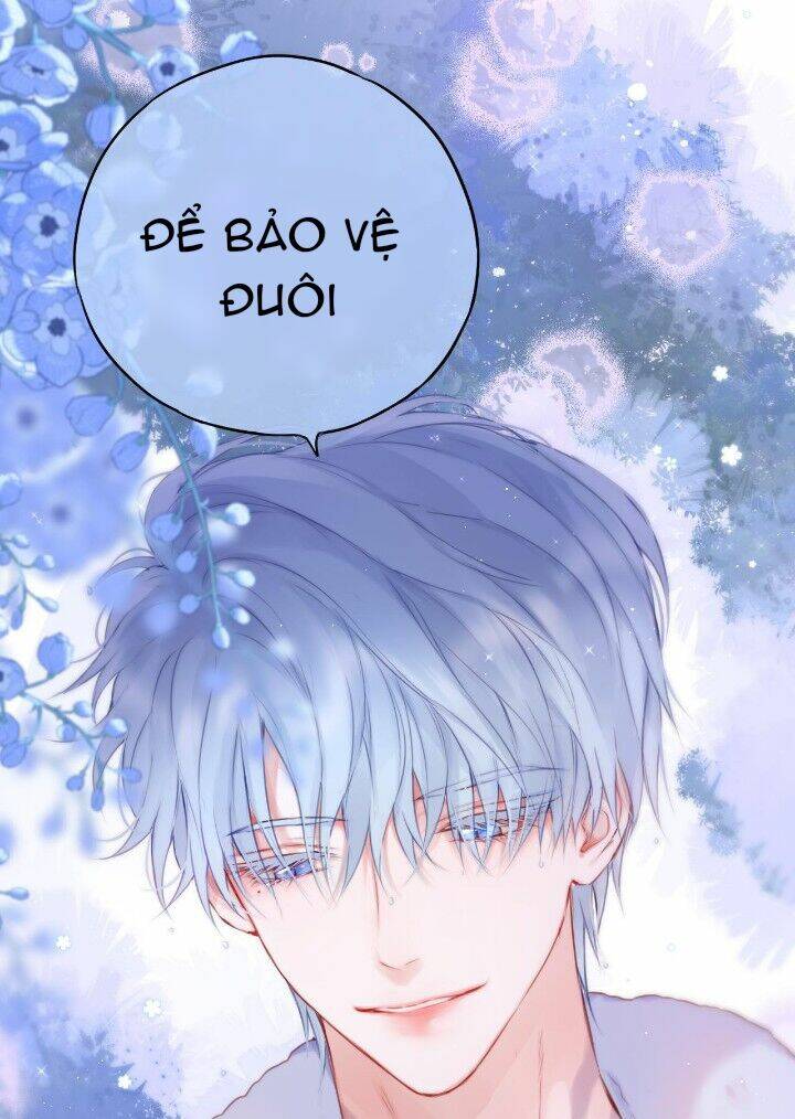 Cạm Bẫy Của Hồ Ly: Chapter 36