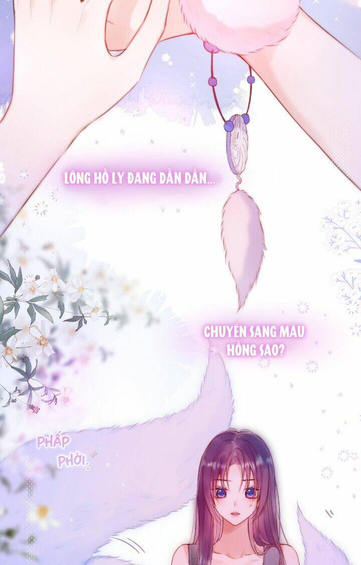 Cạm Bẫy Của Hồ Ly: Chapter 36