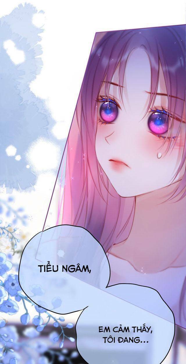 Cạm Bẫy Của Hồ Ly: Chapter 37