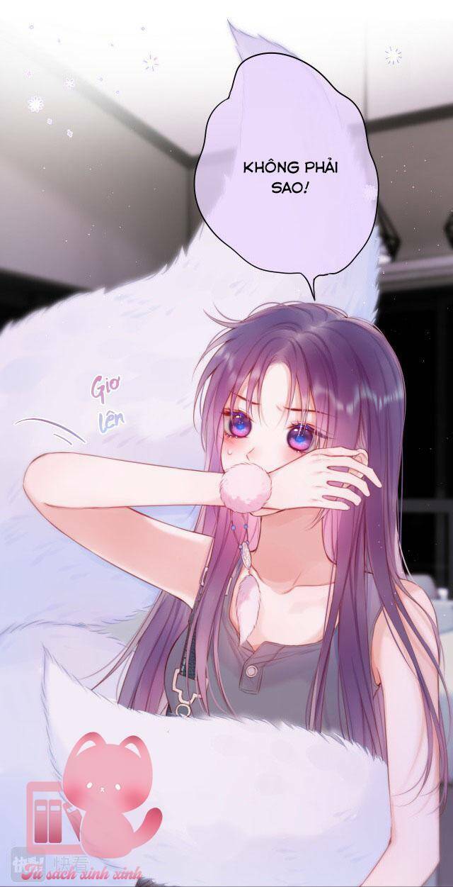 Cạm Bẫy Của Hồ Ly: Chapter 37