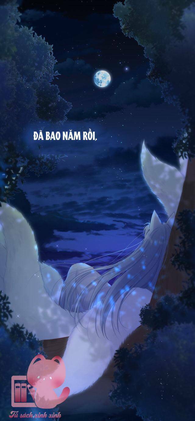 Cạm Bẫy Của Hồ Ly: Chapter 37