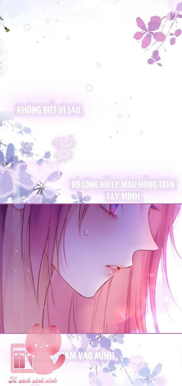 Cạm Bẫy Của Hồ Ly: Chapter 37