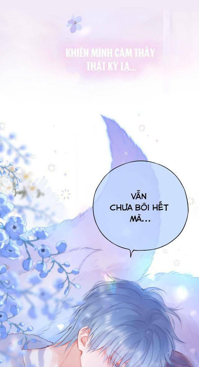 Cạm Bẫy Của Hồ Ly: Chapter 37