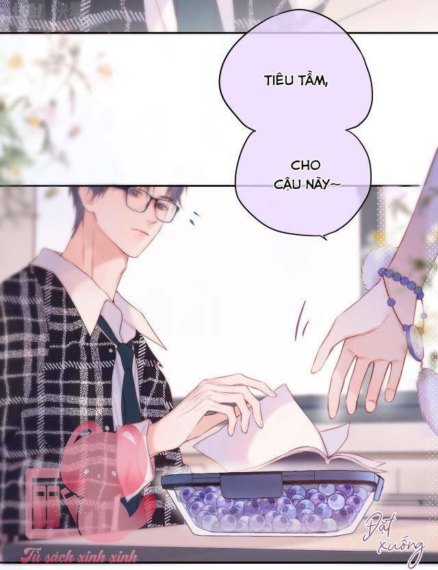 Cạm Bẫy Của Hồ Ly: Chapter 38