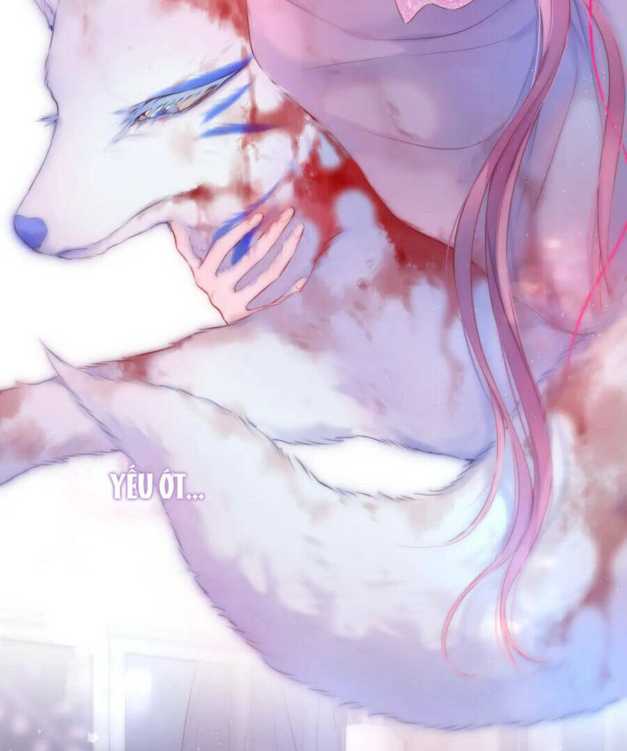 Cạm Bẫy Của Hồ Ly: Chapter 40.2