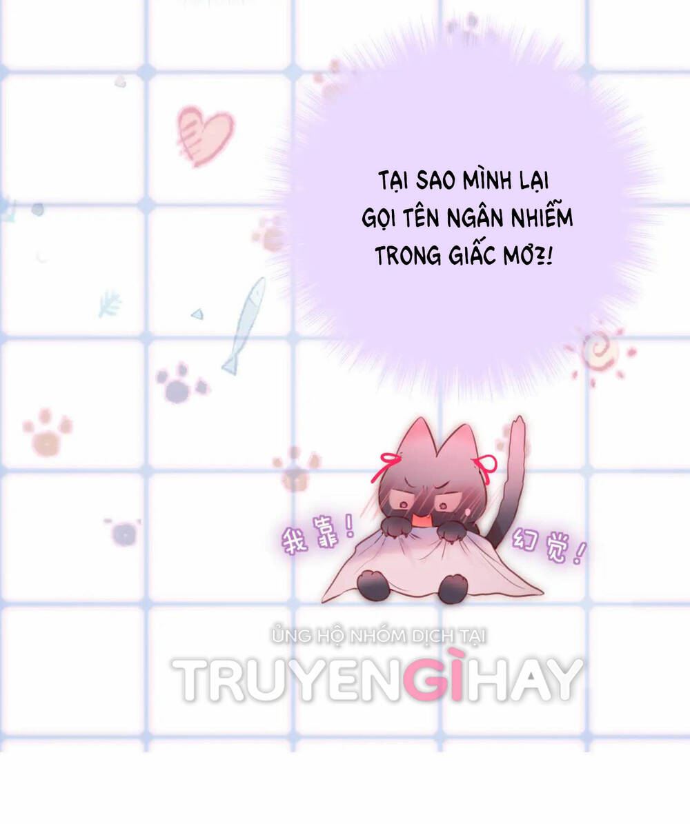 Cạm Bẫy Của Hồ Ly: Chapter 42.2