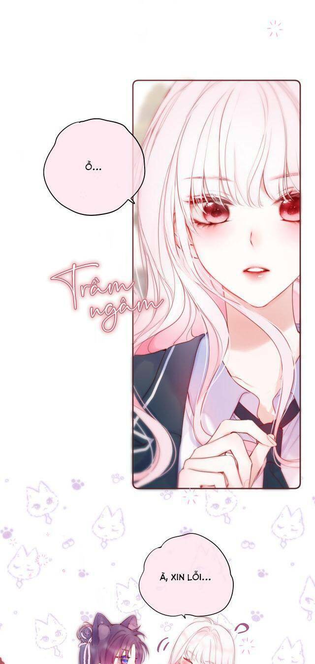 Cạm Bẫy Của Hồ Ly: Chapter 43