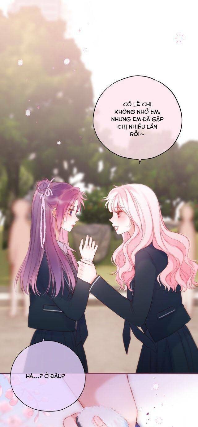 Cạm Bẫy Của Hồ Ly: Chapter 43