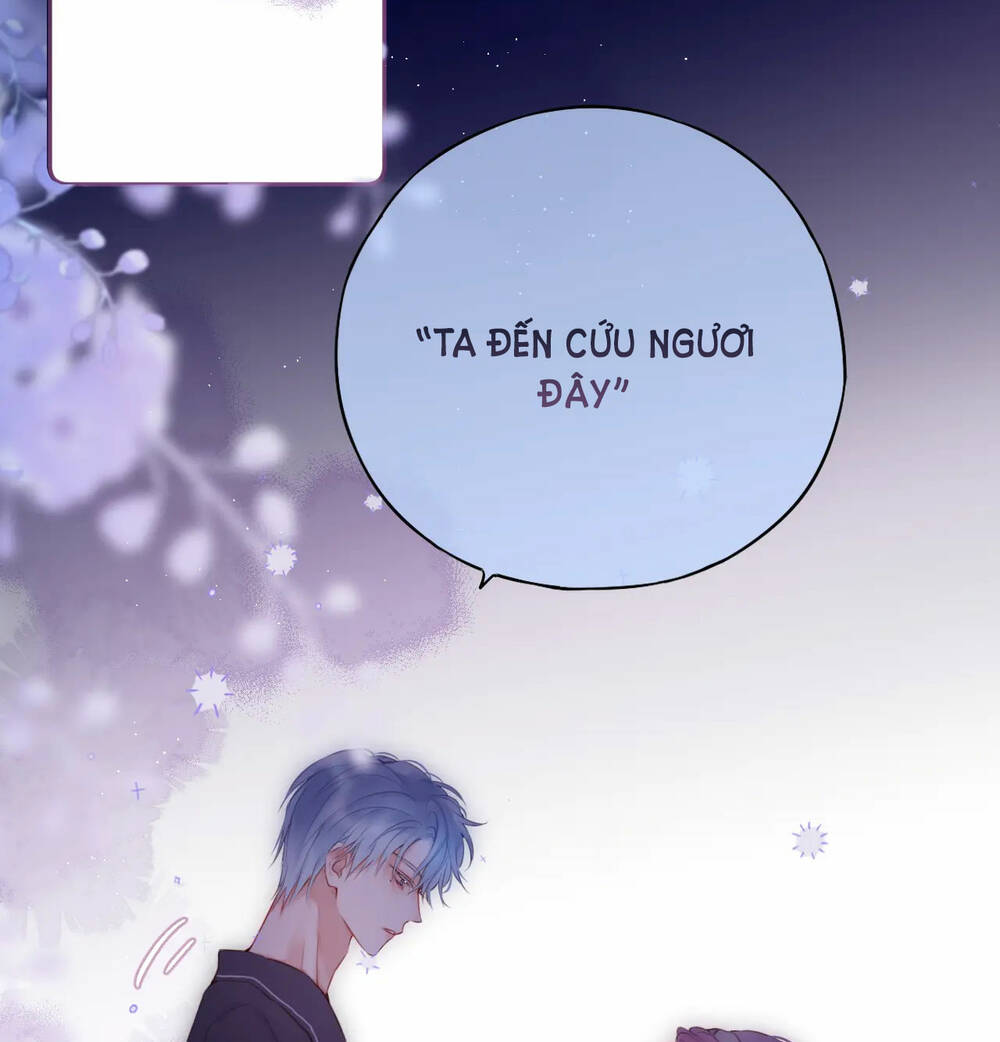 Cạm Bẫy Của Hồ Ly: Chapter 48