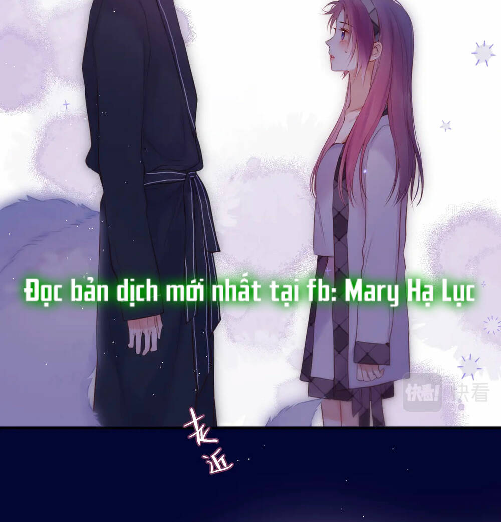 Cạm Bẫy Của Hồ Ly: Chapter 48
