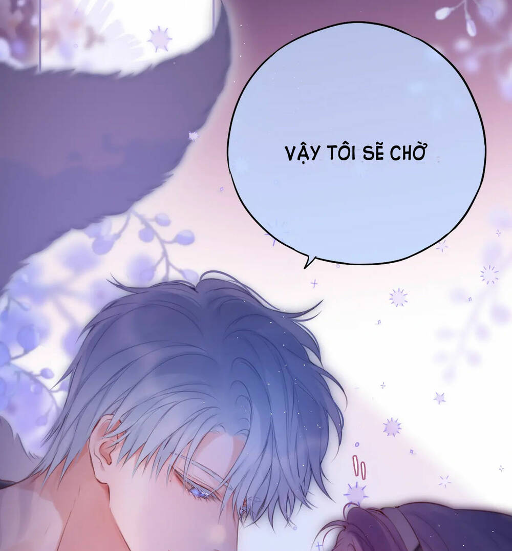 Cạm Bẫy Của Hồ Ly: Chapter 48