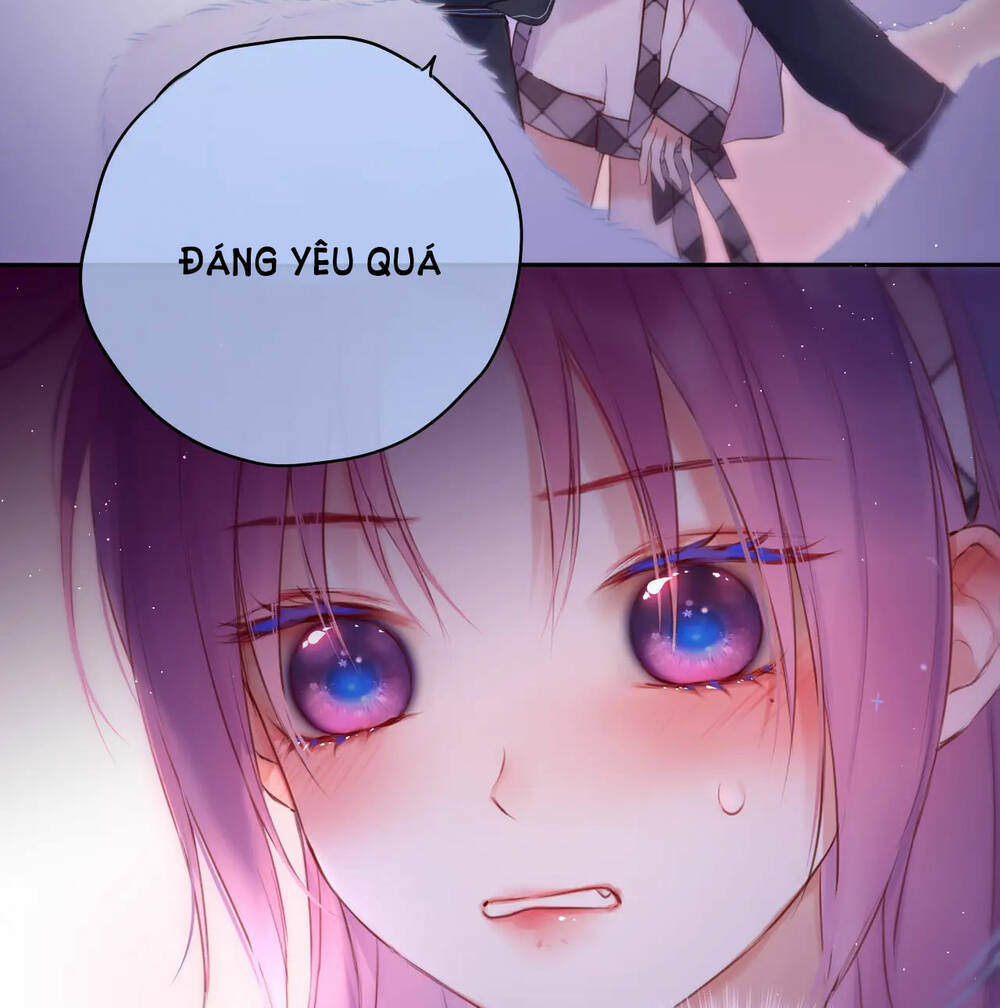 Cạm Bẫy Của Hồ Ly: Chapter 48