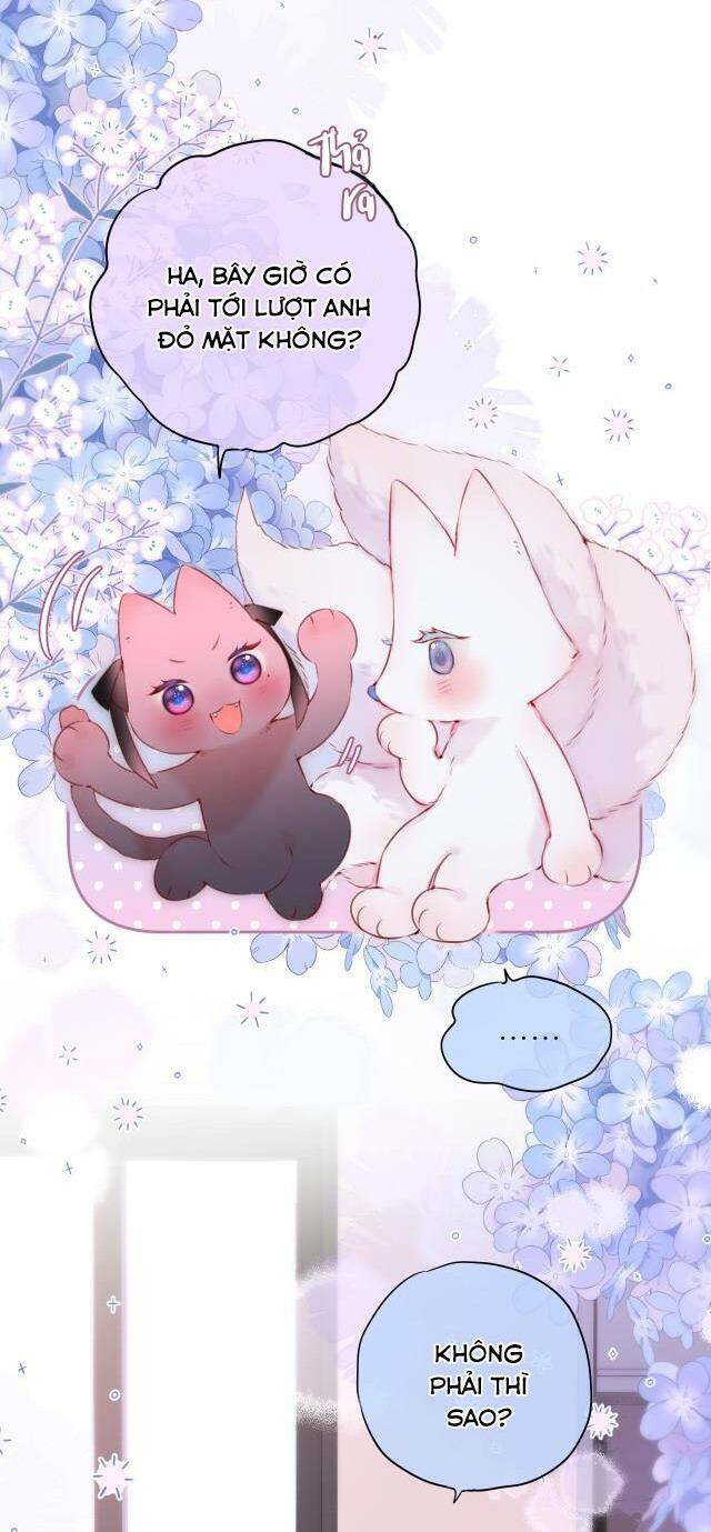 Cạm Bẫy Của Hồ Ly: Chapter 49.5