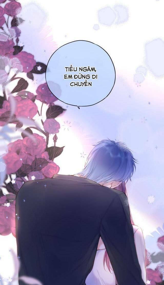 Cạm Bẫy Của Hồ Ly: Chapter 49.5