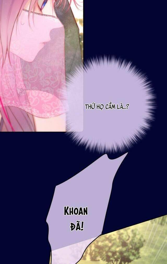 Cạm Bẫy Của Hồ Ly: Chapter 51