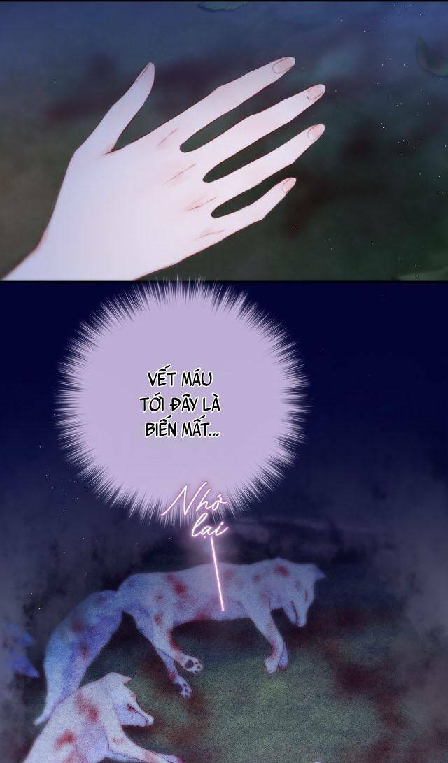 Cạm Bẫy Của Hồ Ly: Chapter 51