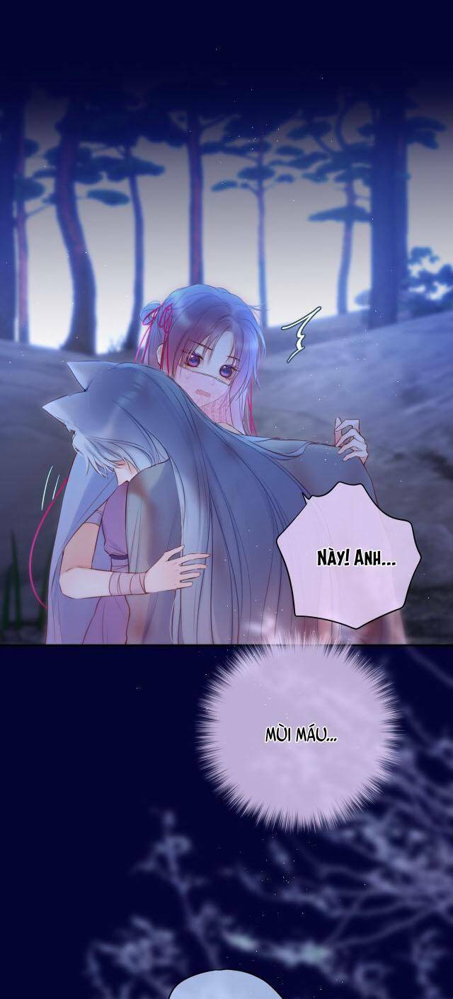 Cạm Bẫy Của Hồ Ly: Chapter 51