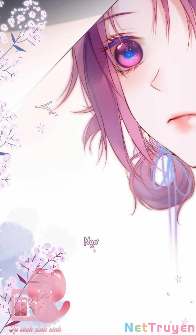 Cạm Bẫy Của Hồ Ly: Chapter 54