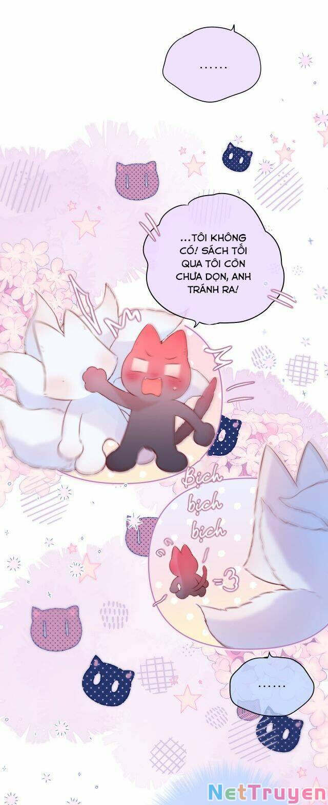 Cạm Bẫy Của Hồ Ly: Chapter 54