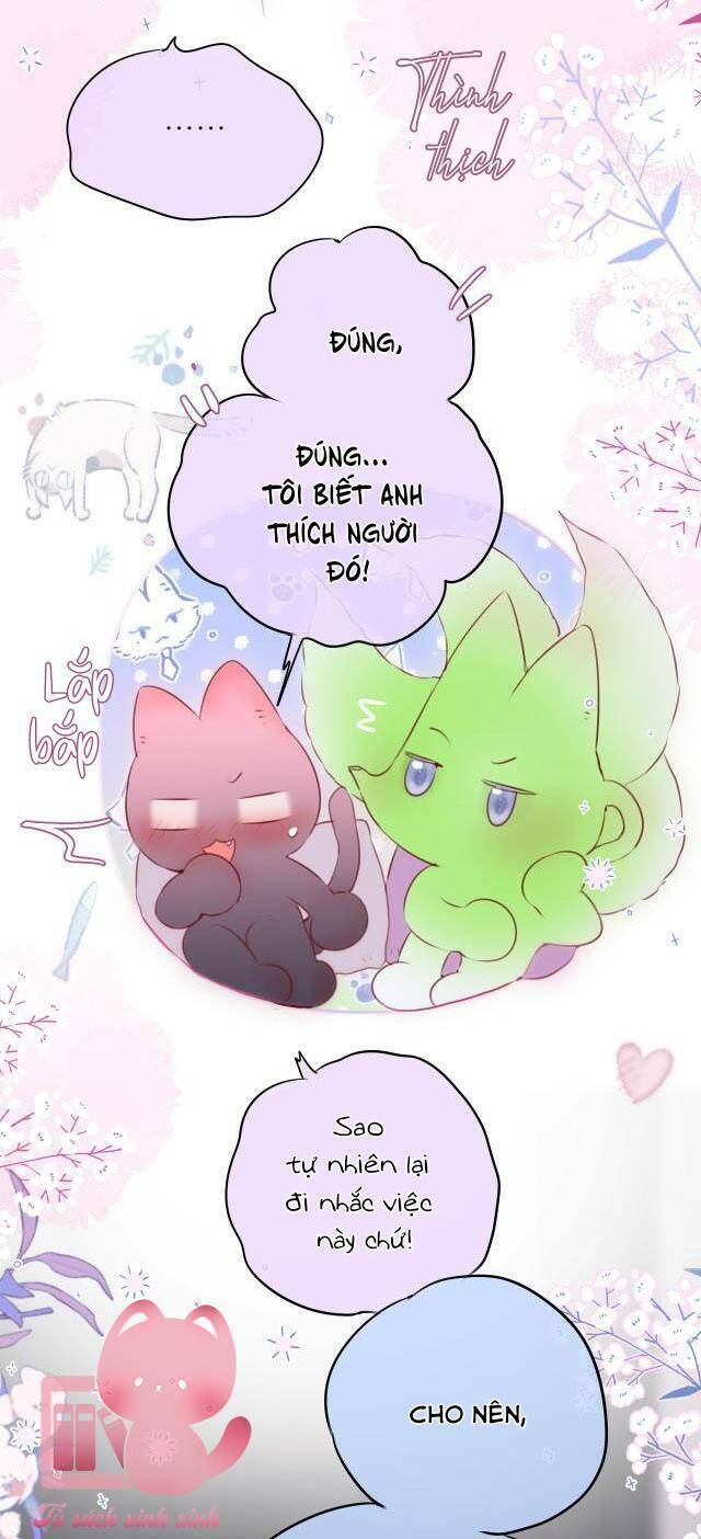 Cạm Bẫy Của Hồ Ly: Chapter 58