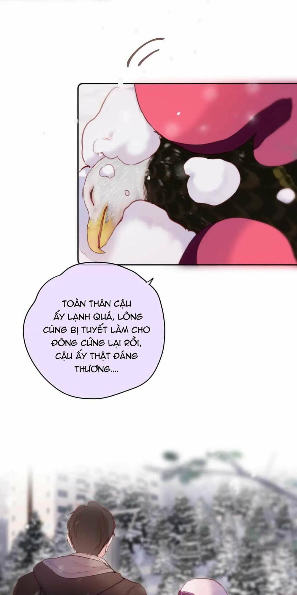 Cạm Bẫy Của Hồ Ly: Chapter 62