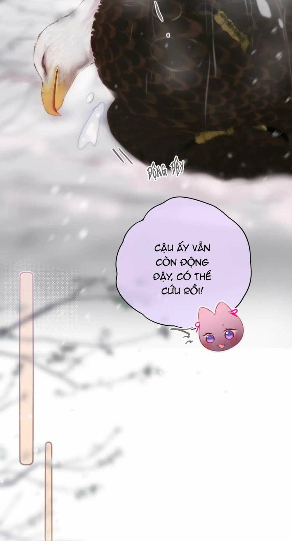 Cạm Bẫy Của Hồ Ly: Chapter 62