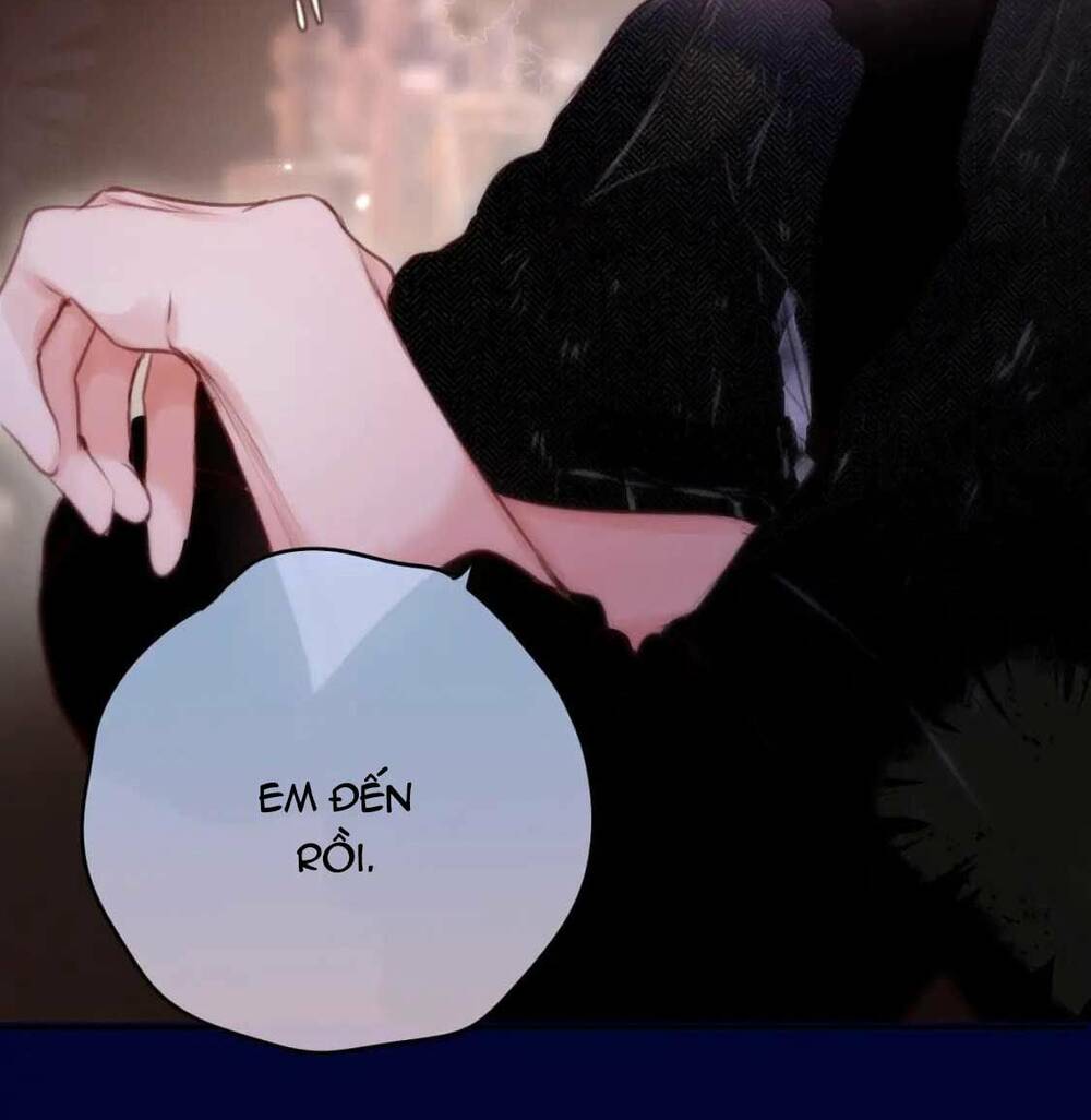 Cạm Bẫy Của Hồ Ly: Chapter 65