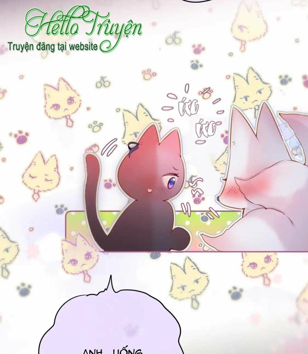 Cạm Bẫy Của Hồ Ly: Chapter 65