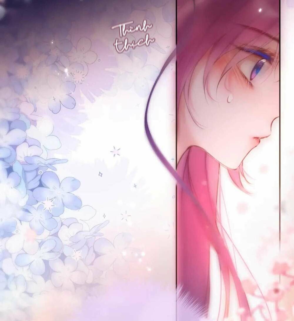 Cạm Bẫy Của Hồ Ly: Chapter 65