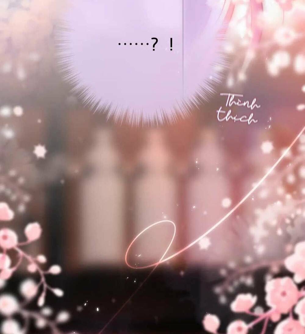 Cạm Bẫy Của Hồ Ly: Chapter 65