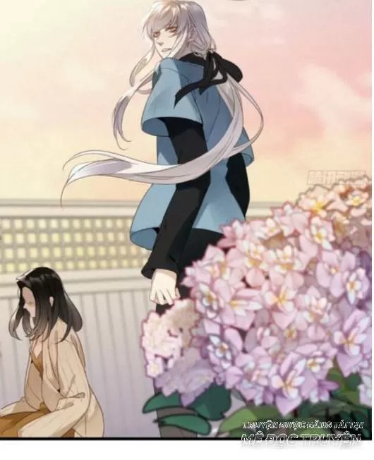 Mời Anh Bốc Quẻ: Chapter 16