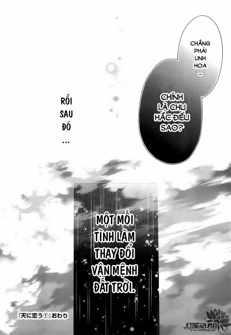 Thiên Mệnh Chi Luyến: Chapter 3