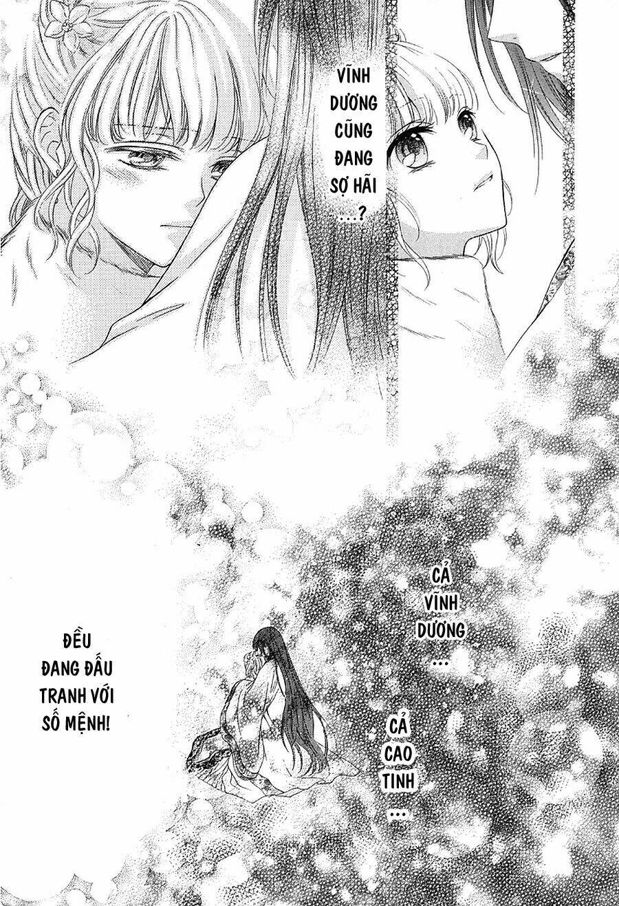 Thiên Mệnh Chi Luyến: Chapter 5