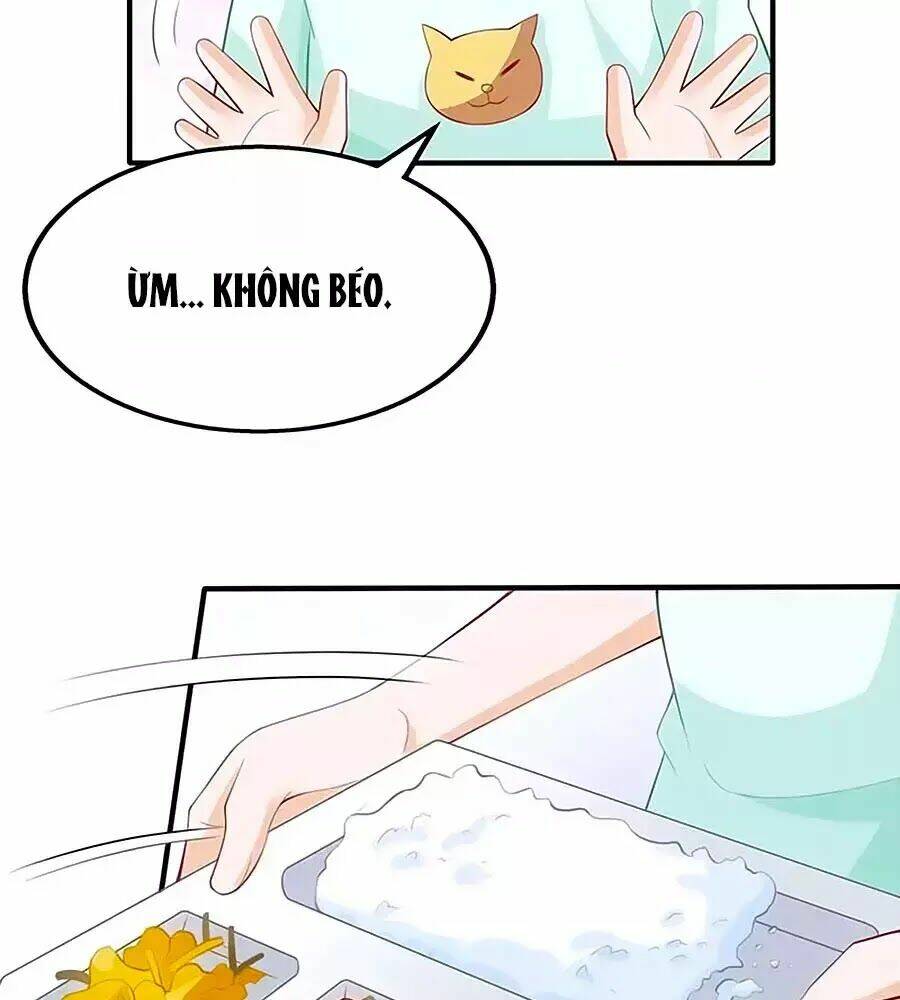 Đưa mami về nhà: Chapter 141