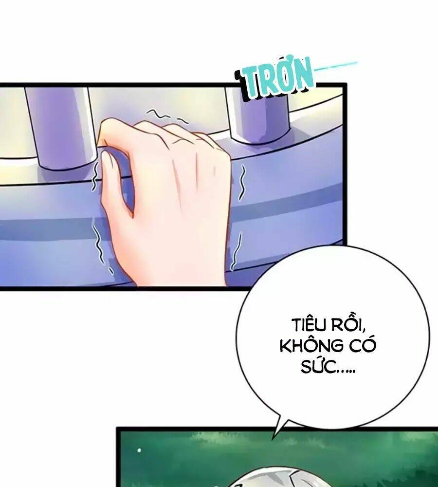 Đưa mami về nhà: Chapter 38