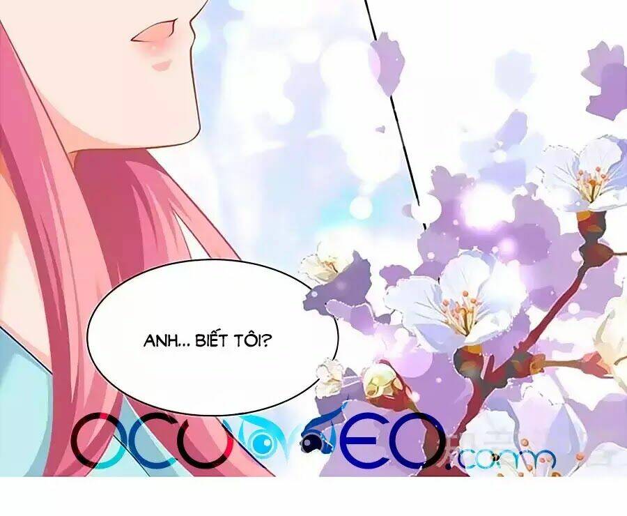 Đưa mami về nhà: Chapter 69