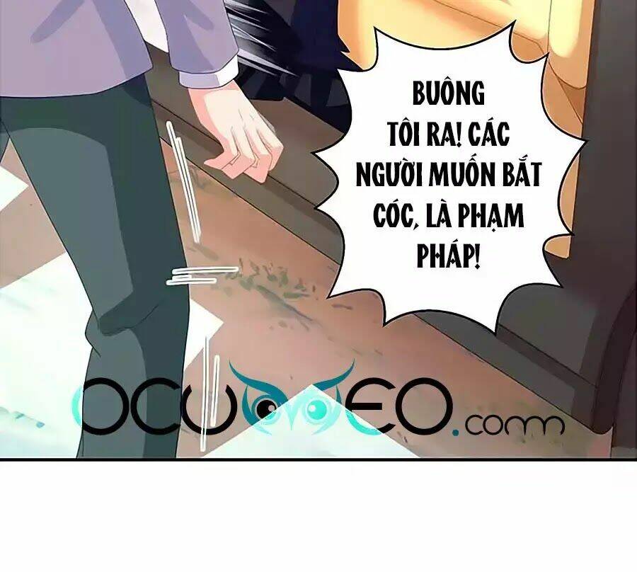 Đưa mami về nhà: Chapter 76