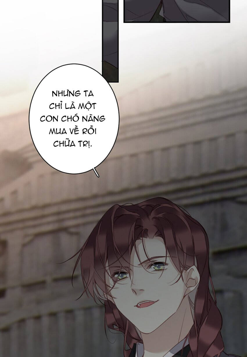 Quận chúa bất tư gia: Chapter 159