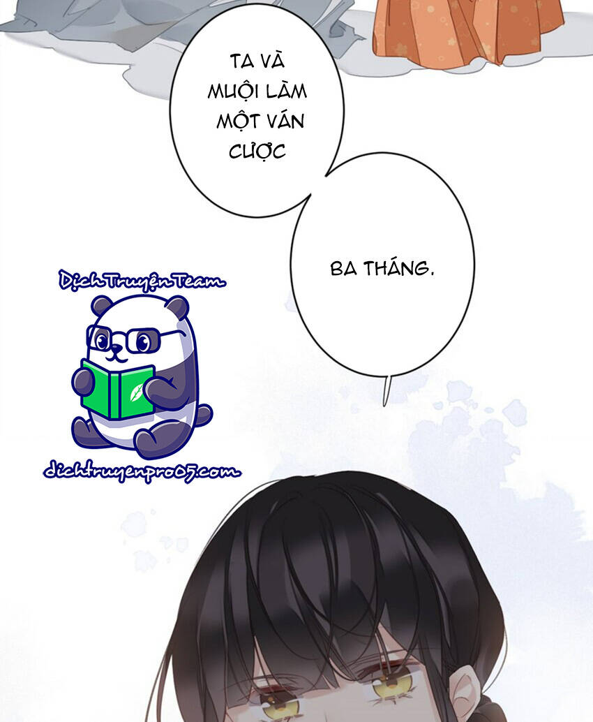 Quận chúa bất tư gia: Chapter 167