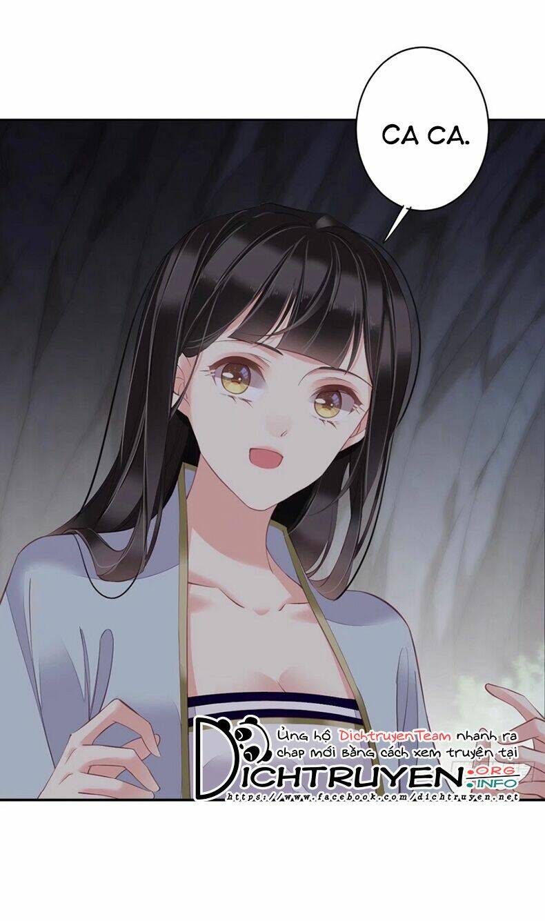 Quận chúa bất tư gia: Chapter 71