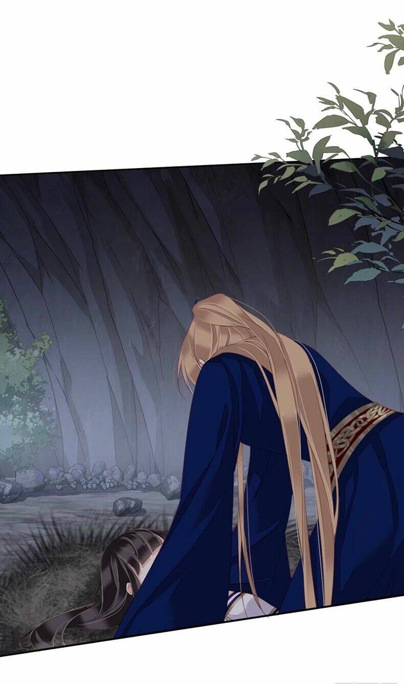 Quận chúa bất tư gia: Chapter 71