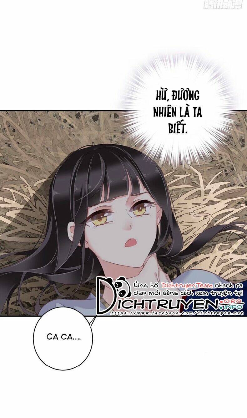 Quận chúa bất tư gia: Chapter 71